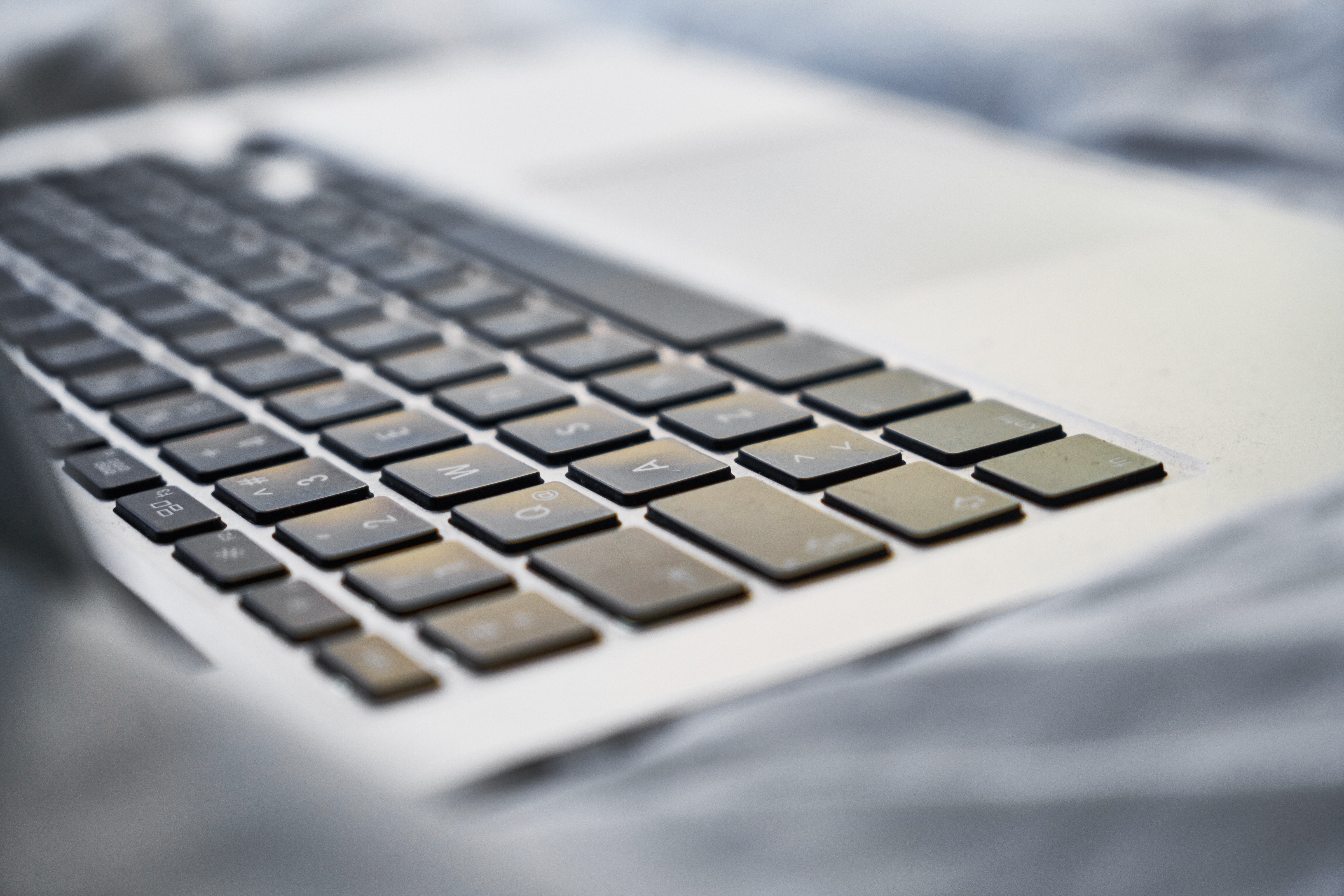 WordPress or a custom website